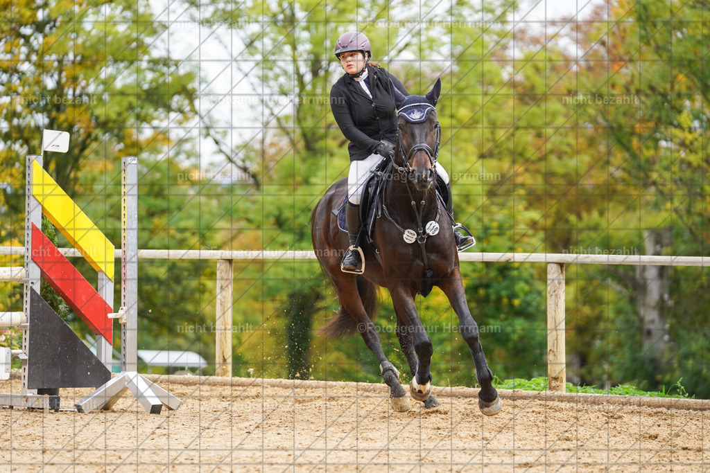 20221009-FAH08739 | Diessen am Ammersee, 2022, Dressur- und Springturnier, Reitsportbilder, Turnierfotografen Bayern, Pferdefotografen, Fotoagentur Herrmann, Turnierbilder