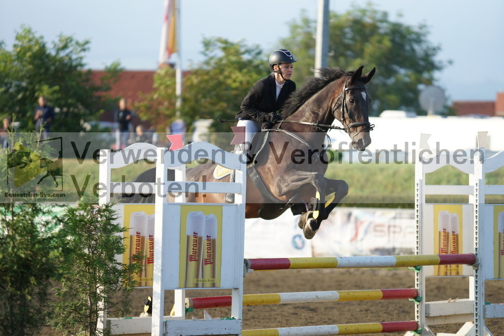 DSC02612 | equestrian-live-com