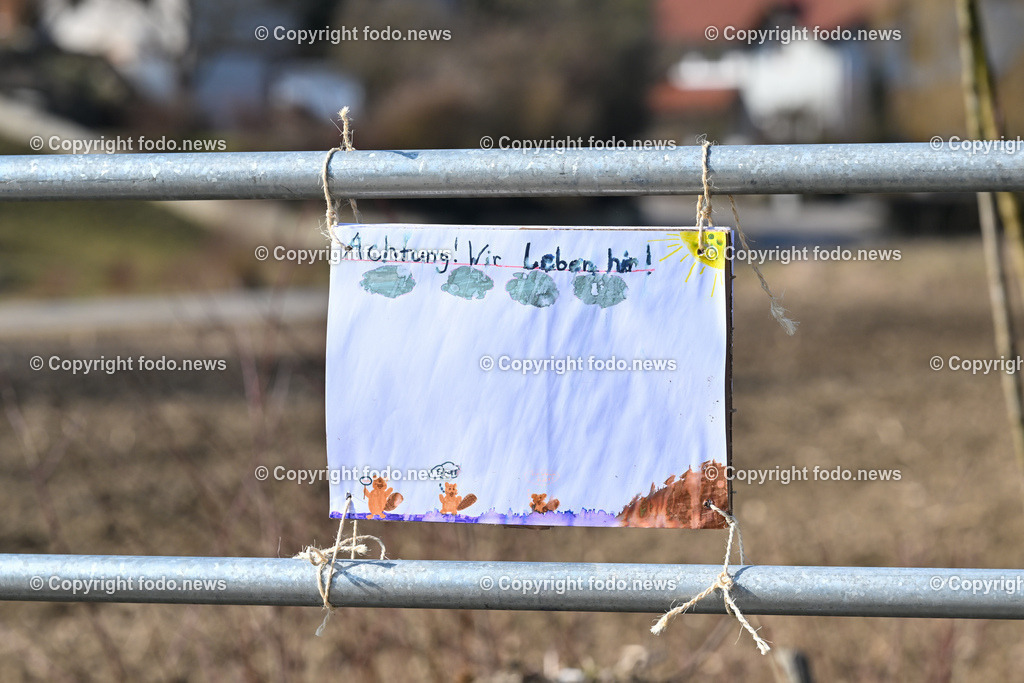 Katzing_ Dörnbach_ Biberdamm_ 07.03.2023-6 | 07.03.2023, Doernbach, AUT, Katzing, Doernbach, Biberdamm, im Bild Kinder haben Plakate gemalt um den Biber zu schuetzen, retten