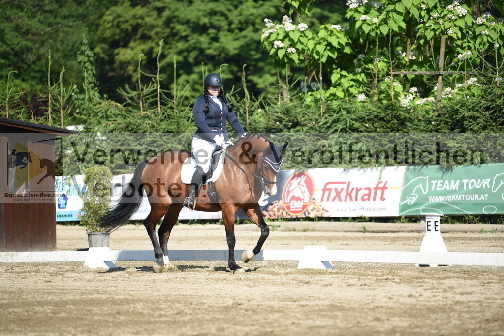 DSC_7306 | equestrian-live-com