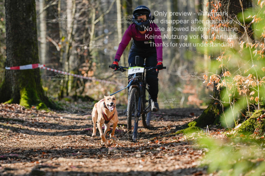 Bike_So-94 | stephaniefillaphotographie - Realisiert mit Pictrs.com