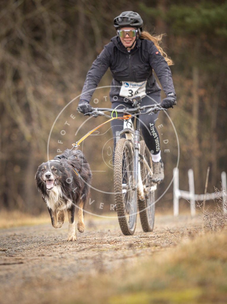 DV3A3354 | Hundefotografie, Tierfotograf, Pfotenfotografie, Fotoshooting Hund, Hunde Portrait, Hundesport, Hundeportraits, Heideshooting, Hunde, Sportfotograf, Hundefotograf, Turnierhundsport, THS,  - Realisiert mit Pictrs.com