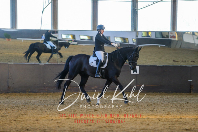 IMG_3315 | Turniersportfotografie; Pferdefotografie; Dressurfotografie