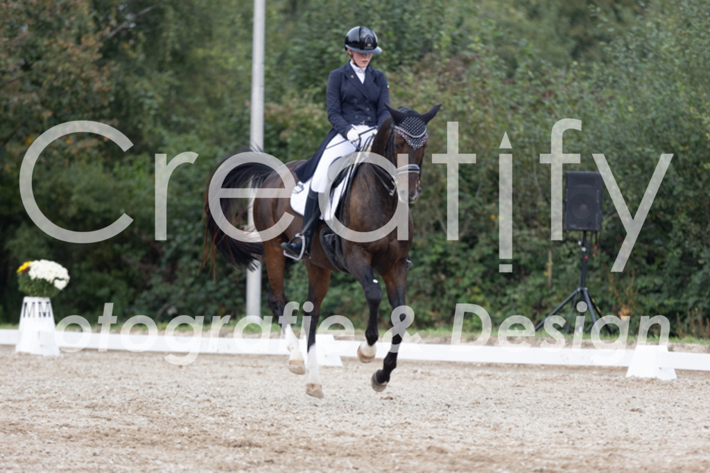 IMG_5421 | Creatify Fotografie