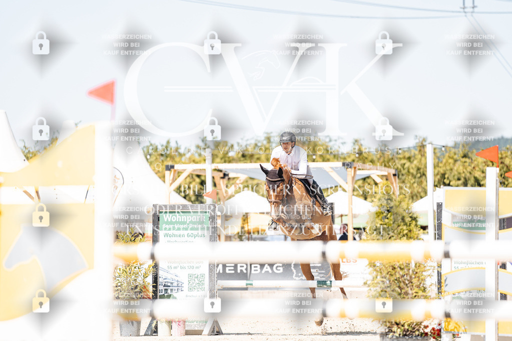 CK909528 | Turnierfotografie Pferdefotografie Trier Rheinland-Pfalz Pferdesport Reitsport Tierfotografie Sportfotografie Pferdevideo Pferdevideografie Equestrianvideography equestrianphotography  - Realisiert mit Pictrs.com