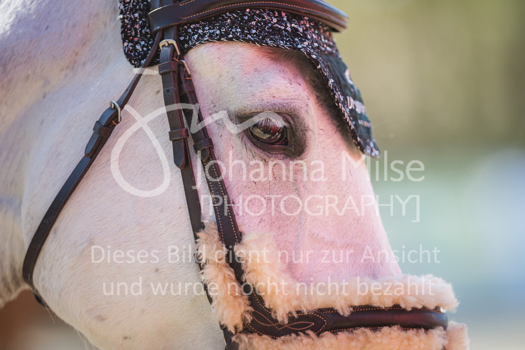 220423_Sudheim_Stil-L-163 | Oerlinghausen Währentrup 26.08.2021, Stilspringprüfung Kl.A*