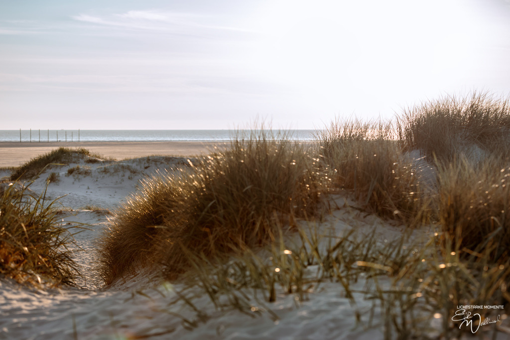 20240508-200400 NORDSEE SPO _320-1 | Herzlich willkommen auf meiner Seite! Ich bin Elke Wallnisch, Deine Fotografin für lichtstarke Momente. Der Name steht für alles, was mich mit der Fotografie verbindet: Das Licht und seine machtvolle Wirkung auf eine Situation oder unsere Stimmung - Realisiert mit Pictrs.com