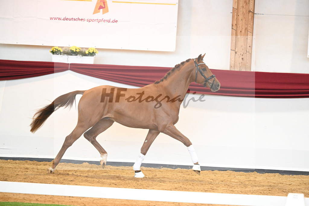 Kat-Nr. 28 v. Erdinger_Schuhmacher_66220802 | hf-fotografie - Realisiert mit Pictrs.com