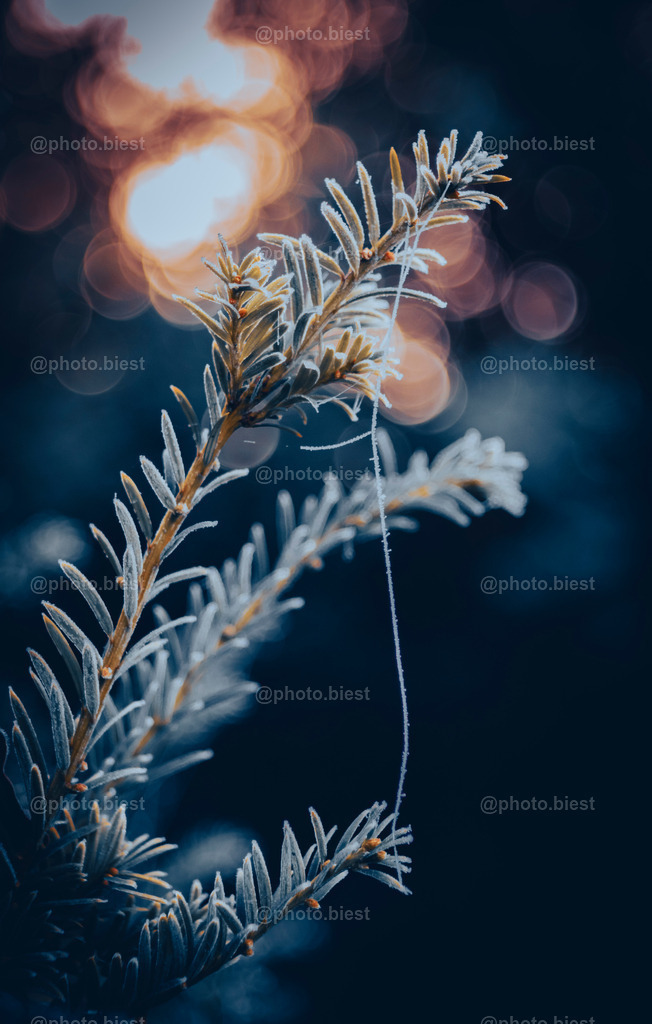 IMGC7844 | photobiest - Realisiert mit Pictrs.com