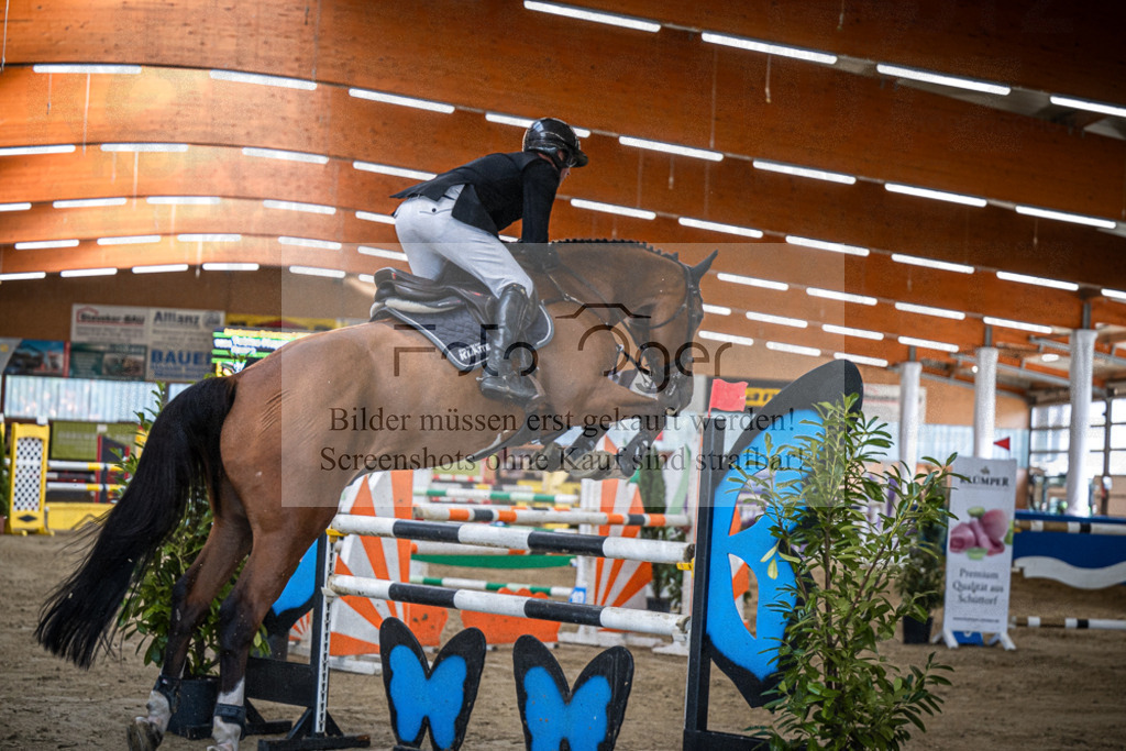 DOS_0633 | Entdecke hochwertige Reitturnierfotos von Foto Oger. Professionell, emotional und authentisch – jetzt Lieblingsmomente im Shop bestellen.Deutschlandweite Turnierfotografie. - Realisiert mit Pictrs.com