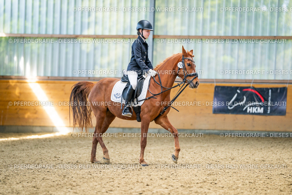 DSC03326 | Pferdegrafie