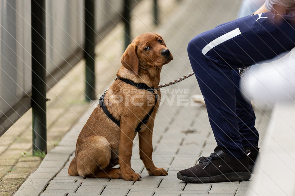 20250706_Picselweb-Fotografie_1R3_1733 | Dein Fotograf aus dem Landkreis Stade für Sport und Events - Realisiert mit Pictrs.com