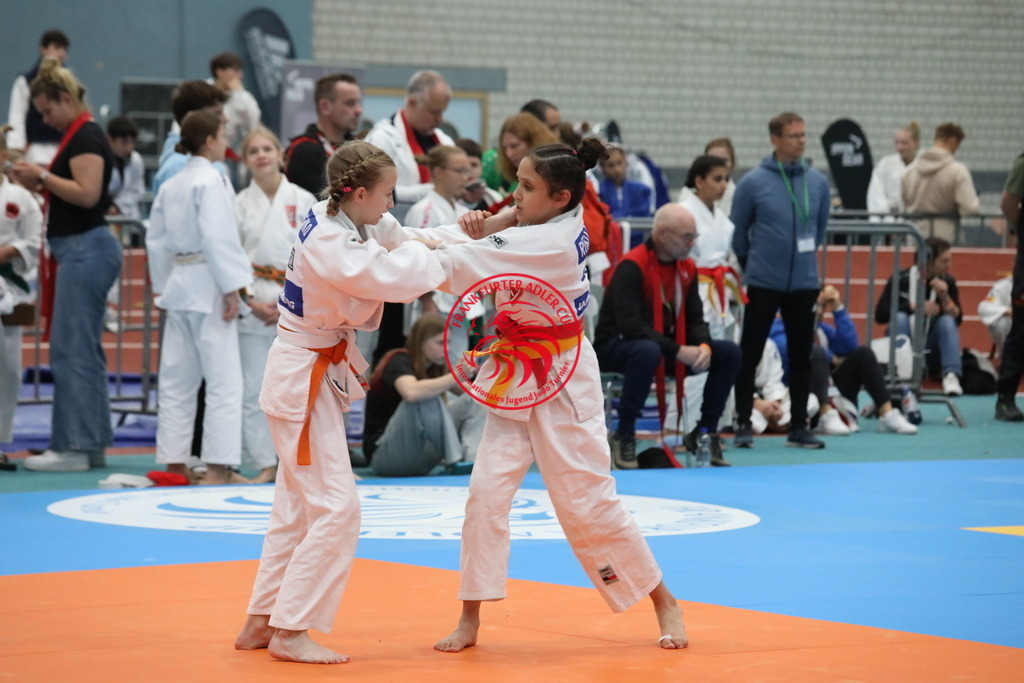 1J7A2676 | Fotos vom Adler Cup - Pictures from Adler Cup

Hier findet Ihr alle Eindrücke und großen Momente der Adler Cup Wochenenden. Here you will find all impressions and great moments of the Adler Cup weekends. - Realisiert mit Pictrs.com