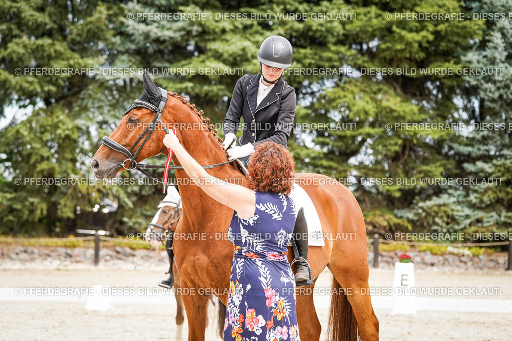 DSC04561 | Pferdegrafie