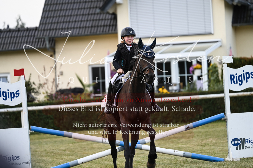 DSC_5594 | Pferde- und Turnierfotografie in Westsachsen. Pferdeportraits, Auftragszeichnungen und intuitive Kunst.