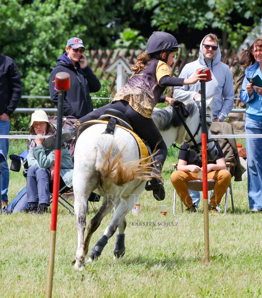 1B3A1218 | Reitsport Reiten
