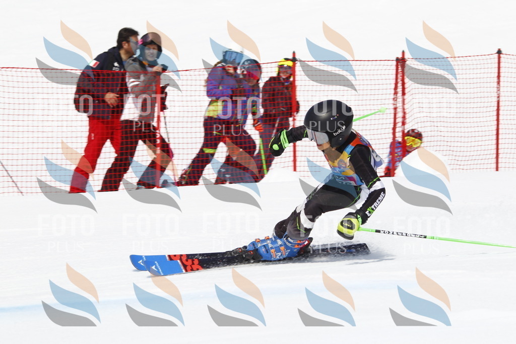 _U3G4642 | holidayphoto