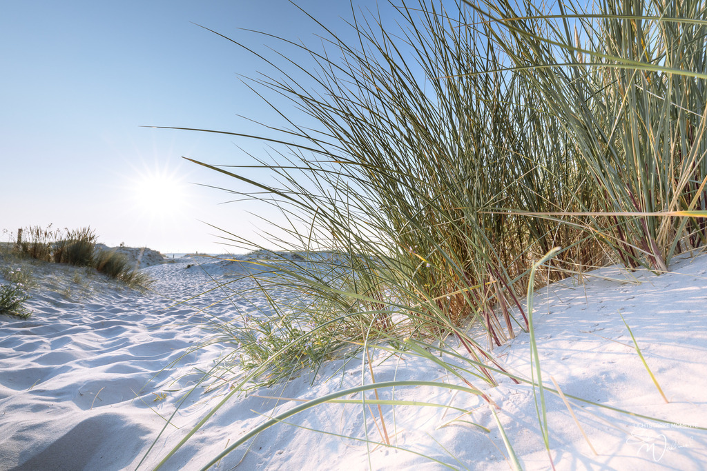 20200922 NORDSEE - SPO_Ording-Hungerhamm 042-1 | Herzlich willkommen auf meiner Seite! Ich bin Elke Wallnisch, Deine Fotografin für lichtstarke Momente. Der Name steht für alles, was mich mit der Fotografie verbindet: Das Licht und seine machtvolle Wirkung auf eine Situation oder unsere Stimmung - Realisiert mit Pictrs.com