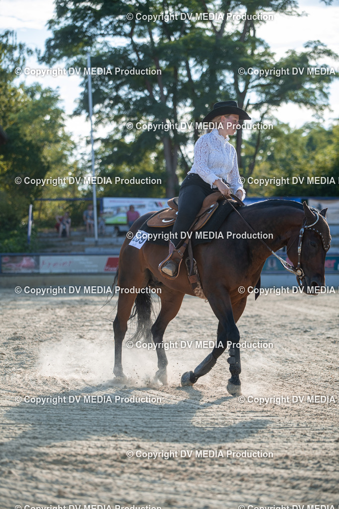 EWP_7084 | dv-media-shop - Realisiert mit Pictrs.com