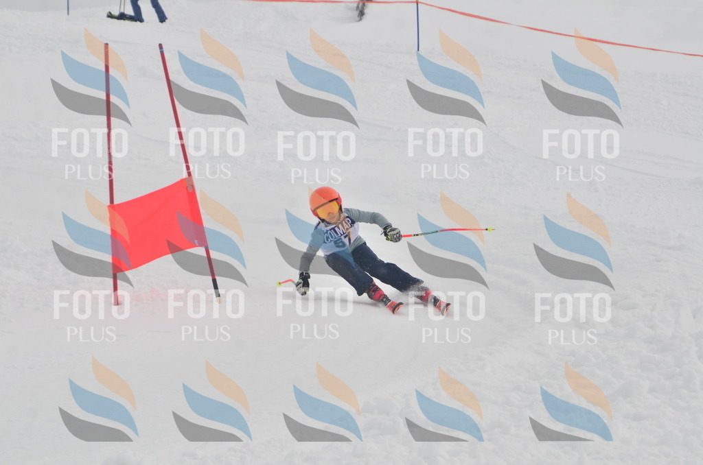 A5447 | holidayphoto