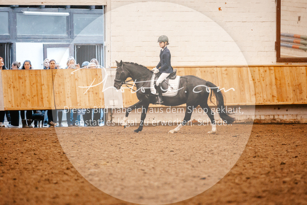 3I6A3541 | Stimmungsvolle Portraits und Reitsportfotografie im Ruhrgebiet und im Münsterland.

Pferdefotografie, Hundefotografie, Tierfotografie, Reportagen, Portraits von Tier und Mensch, Turnierfotografie in Bochum, Recklinghausen, Marl, Haltern am See, Dülmen.. - Realisiert mit Pictrs.com