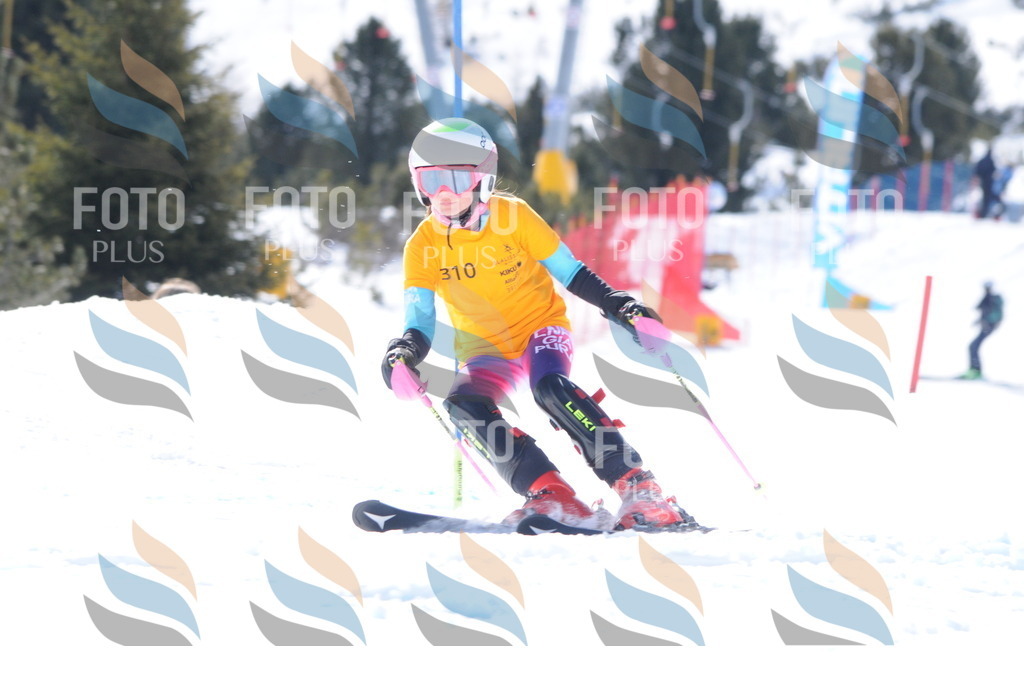 C9176 | holidayphoto