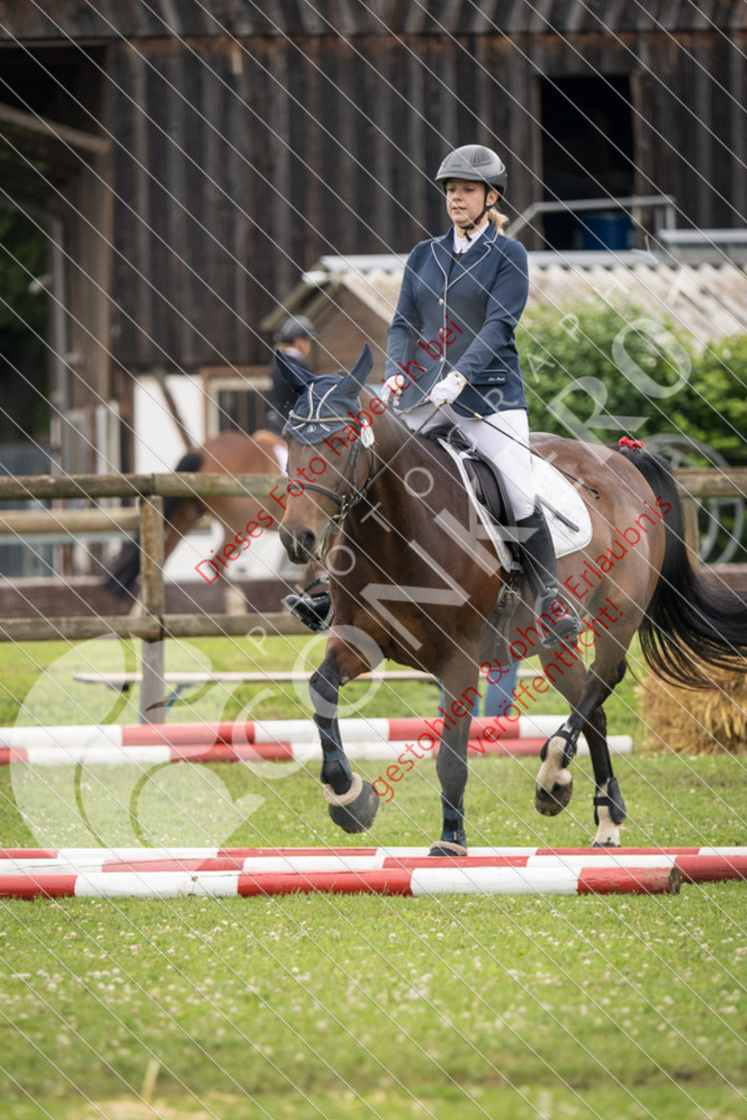 IMG_2639 | Sport-, Event- und Tierfotos in Profiqualität. Einfach auswählen, bestellen und herunterladen. Dein Moment – perfekt festgehalten.