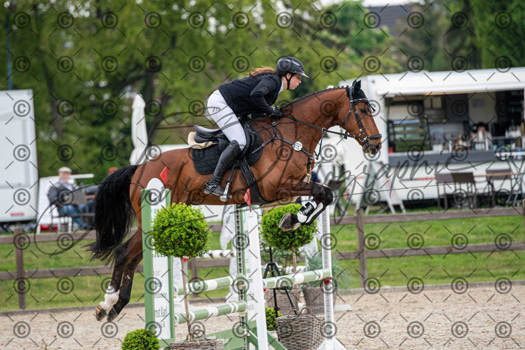 KPT_2210 | andre_photographic
