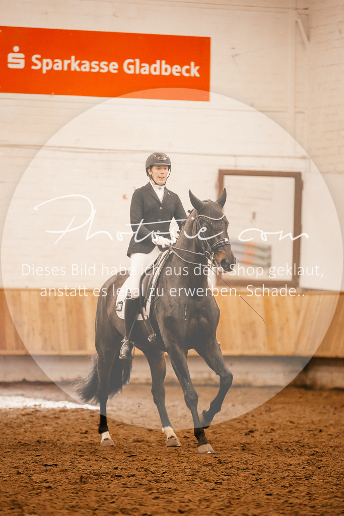 3I6A2416 | Stimmungsvolle Portraits und Reitsportfotografie im Ruhrgebiet und im Münsterland.

Pferdefotografie, Hundefotografie, Tierfotografie, Reportagen, Portraits von Tier und Mensch, Turnierfotografie in Bochum, Recklinghausen, Marl, Haltern am See, Dülmen.. - Realisiert mit Pictrs.com