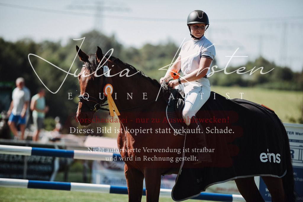 DSC_3359 | Pferde- und Turnierfotografie in Westsachsen. Pferdeportraits, Auftragszeichnungen und intuitive Kunst.