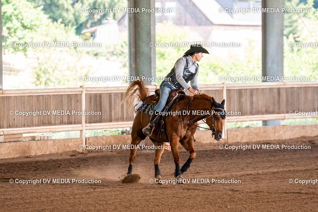 Erbach Tag 2-773 | dv-media-shop - Realisiert mit Pictrs.com