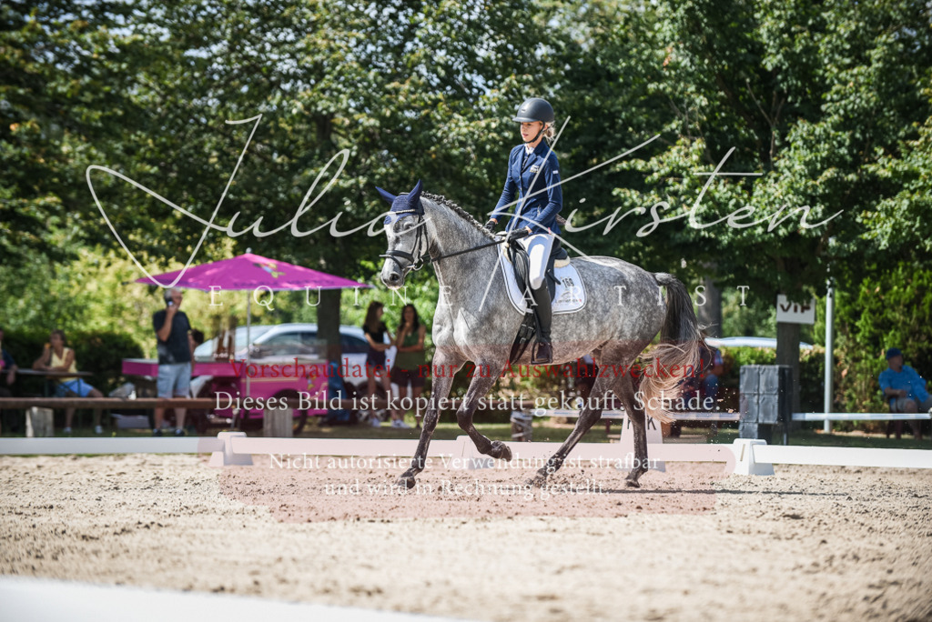 DSC_9275 | Pferde- und Turnierfotografie in Westsachsen. Pferdeportraits, Auftragszeichnungen und intuitive Kunst.