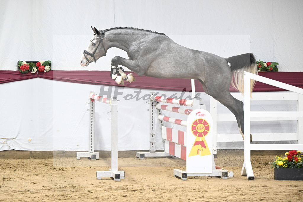 Kat-Nr. 83 Hickstead White x Chacco-Blue_Thomas Koeniger_47252826 | hf-fotografie - Realisiert mit Pictrs.com