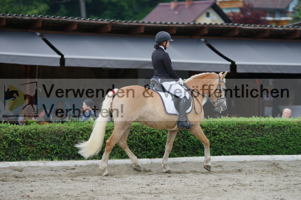 DSC05505 | equestrian-live-com