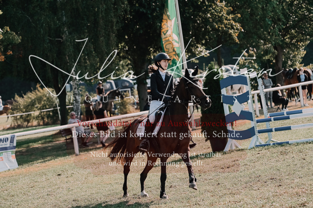 DSC_4687 | Pferde- und Turnierfotografie in Westsachsen. Pferdeportraits, Auftragszeichnungen und intuitive Kunst.