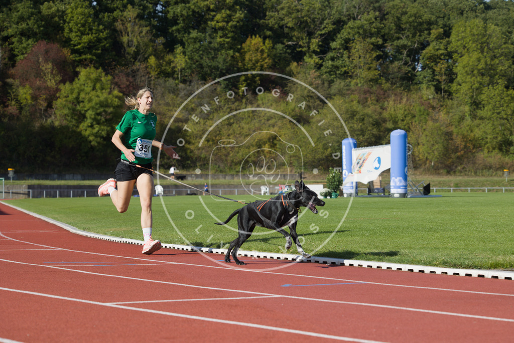 0L8A9554 | Hundefotografie, Tierfotograf, Pfotenfotografie, Fotoshooting Hund, Hunde Portrait, Hundesport, Hundeportraits, Heideshooting, Hunde, Sportfotograf, Hundefotograf, Turnierhundsport, THS,  - Realisiert mit Pictrs.com