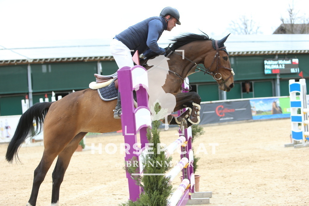 DL2Q9448 | Willkommen bei Brunnmayr - Design & Fotografie – Ihrem Spezialisten für Reitturniere und Pferdeveranstaltungen in Oberösterreich, Salzburg und Bayern! Seit über 17 Jahren sind wir leidenschaftlich dabei.