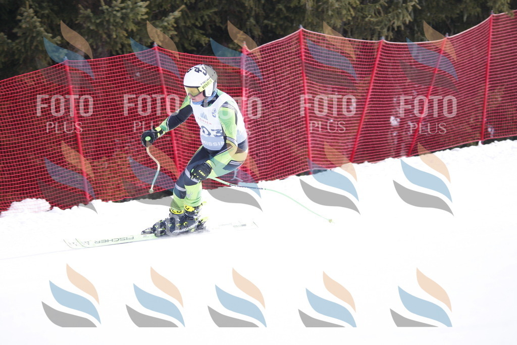 D6413 | holidayphoto