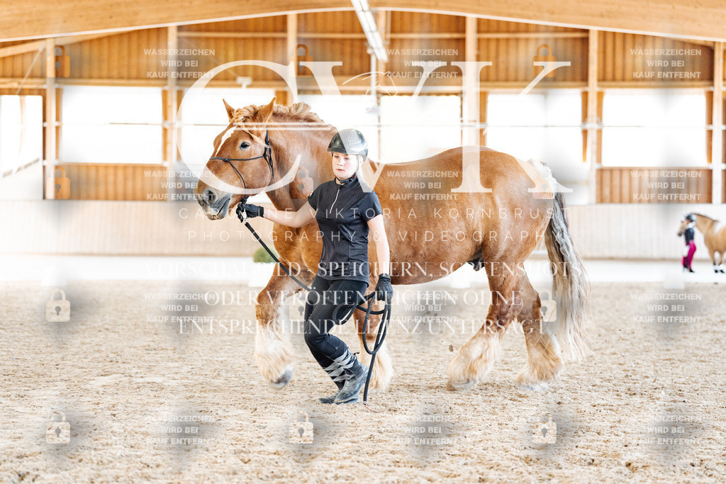 CK907271 | Turnierfotografie Pferdefotografie Trier Rheinland-Pfalz Pferdesport Reitsport Tierfotografie Sportfotografie Pferdevideo Pferdevideografie Equestrianvideography equestrianphotography  - Realisiert mit Pictrs.com