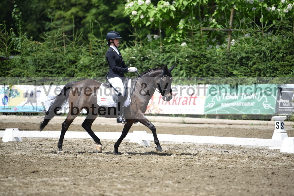 DSC_1380 | equestrian-live-com