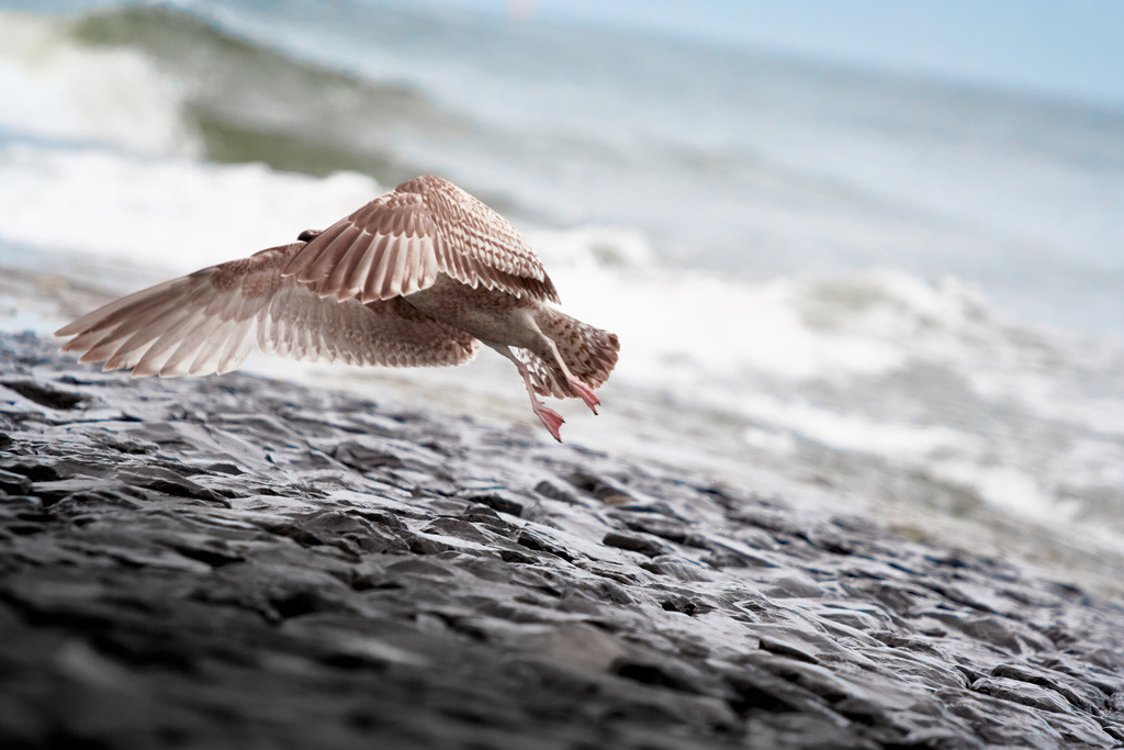 Flucht | Upscaled with Gigapixel v8.4.4. 3263x2176 => 6526x4352 (2x) Model: Standard V2, denoise: 0, sharpen: 0, decompression: 0.01