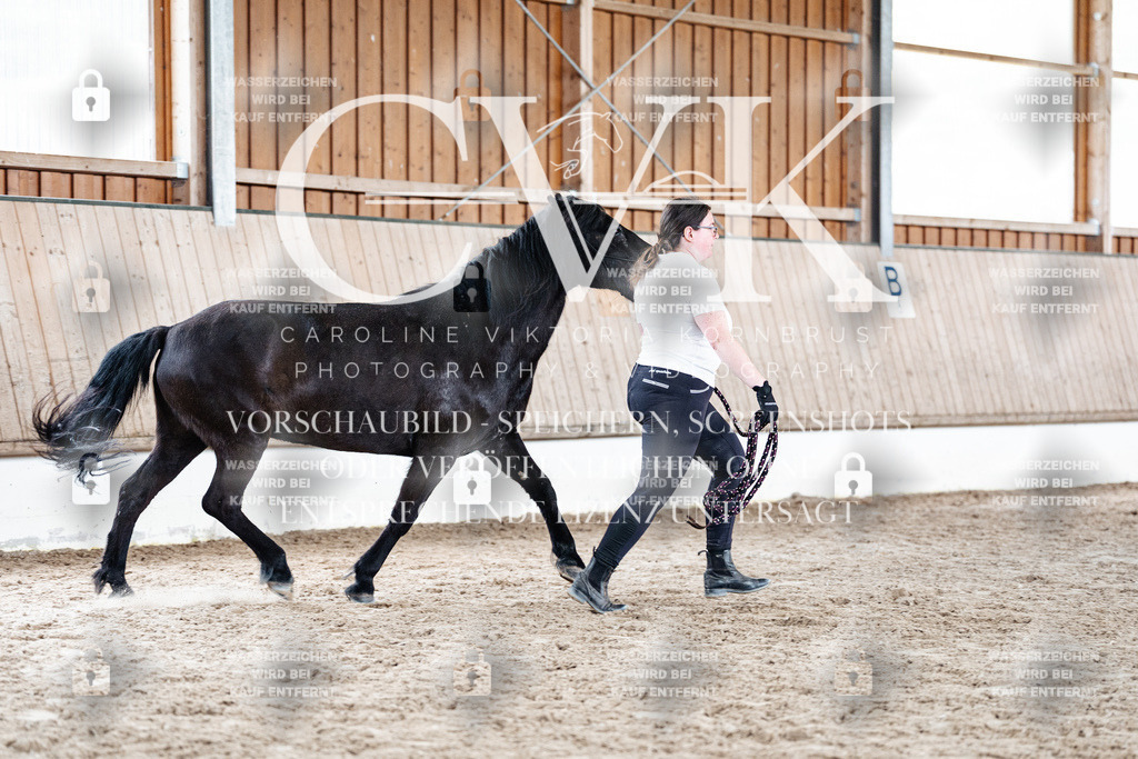 CK907940 | Turnierfotografie Pferdefotografie Trier Rheinland-Pfalz Pferdesport Reitsport Tierfotografie Sportfotografie Pferdevideo Pferdevideografie Equestrianvideography equestrianphotography  - Realisiert mit Pictrs.com