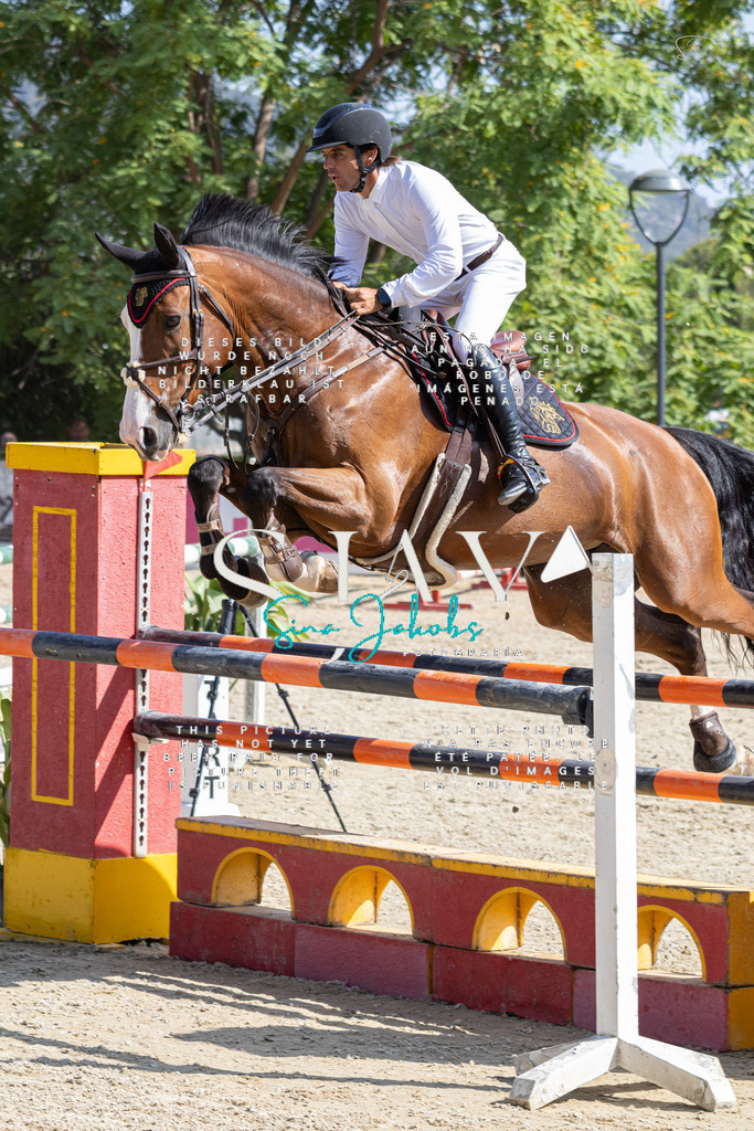 IMG_4098 | s-jay-photography - Realisiert mit Pictrs.com