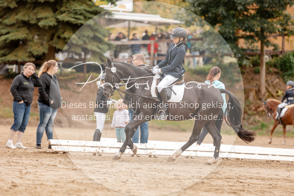 3I6A8387 | Stimmungsvolle Portraits und Reitsportfotografie im Ruhrgebiet und im Münsterland.

Pferdefotografie, Hundefotografie, Tierfotografie, Reportagen, Portraits von Tier und Mensch, Turnierfotografie in Bochum, Recklinghausen, Marl, Haltern am See, Dülmen.. - Realisiert mit Pictrs.com