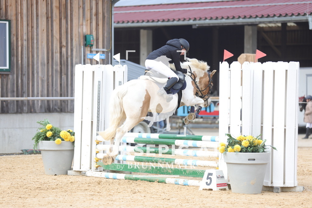 0P6A8951 | Willkommen bei Brunnmayr - Design & Fotografie – Ihrem Spezialisten für Reitturniere und Pferdeveranstaltungen in Oberösterreich, Salzburg und Bayern! Seit über 17 Jahren sind wir leidenschaftlich dabei.