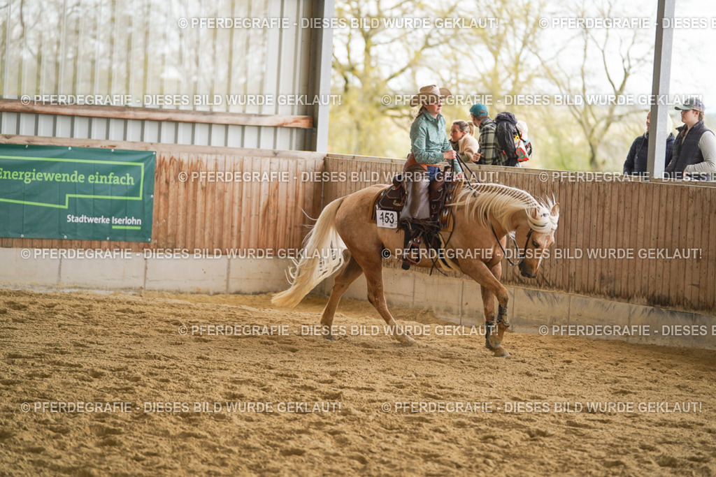 DSC09325 | Pferdegrafie