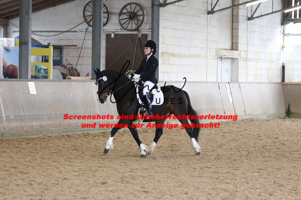 IMG_7610 | lmwpictures - Realisiert mit Pictrs.com