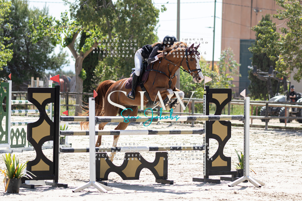 IMG_0114 | s-jay-photography - Realisiert mit Pictrs.com