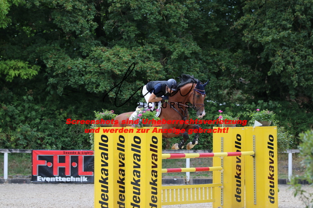 IMG_0314 | lmwpictures - Realisiert mit Pictrs.com