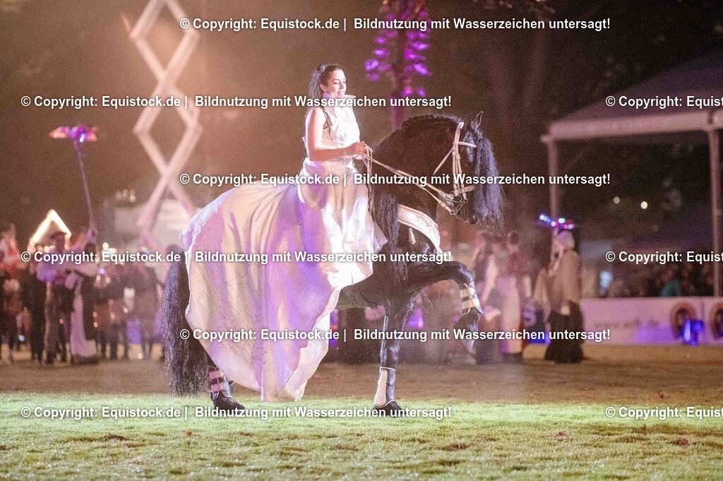 20250606_Lange-Pferdenacht_1477 | Foto: Thomas Hartig